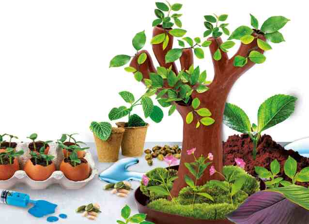 Επιτραπέζιο Βοτανική (09.97364) (1)