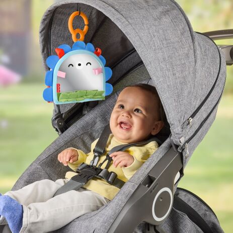 Fisher Price Καθρεφτάκι-Σκαντζοχοιράκι (JHB45) (5)