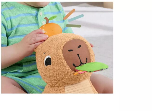 Fisher Price Μαλακό Καπιμπάρα Δραστηριοτήτων (HYR54) (4)