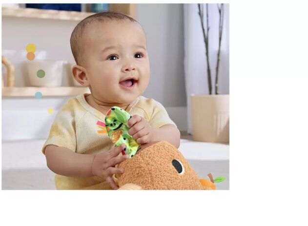 Fisher Price Μαλακό Καπιμπάρα Δραστηριοτήτων (HYR54) (6)