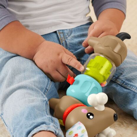 Fisher Price Pet Pals Σκυλάκι Δραστηριοτήτων (HTW91) (2)