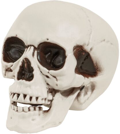 WM Νεκροκεφαλή 12cm (65021) (0)