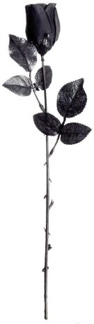 WM Τριαντάφυλλο Μαύρο 44cm (7794F) (0)
