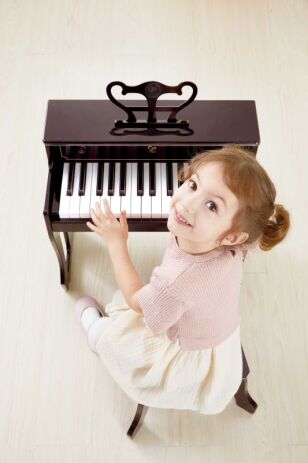 Hape Early Melodies Ξύλινο Πιάνο Upright With Sound (E0631A) (2)