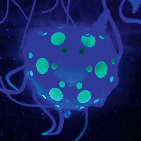 ThreeSixty Jelyfish Aquarium Lamp (1423012561) (4)