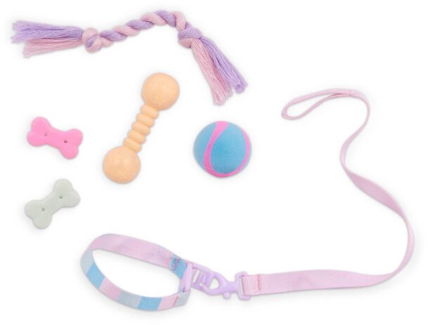 Our Generation Κούκλα Skylar With Rainbow Pup &  Accessories Bow (BD31538) (5)
