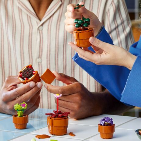 LEGO® Icons Botanicals Tiny Plants (10329) (3)