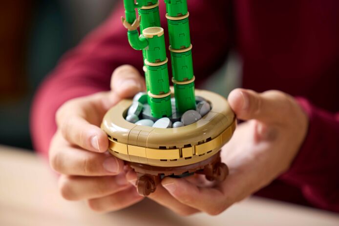 LEGO Botanicals Lucky Bamboo (10344) (4)