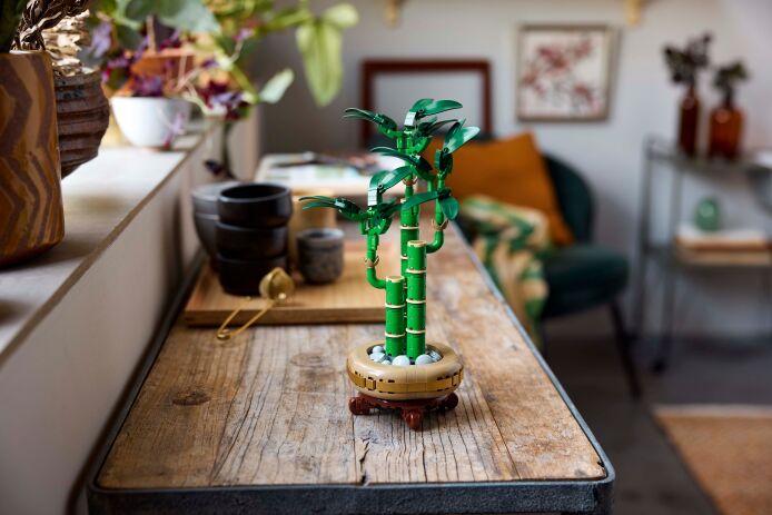 LEGO Botanicals Lucky Bamboo (10344) (8)