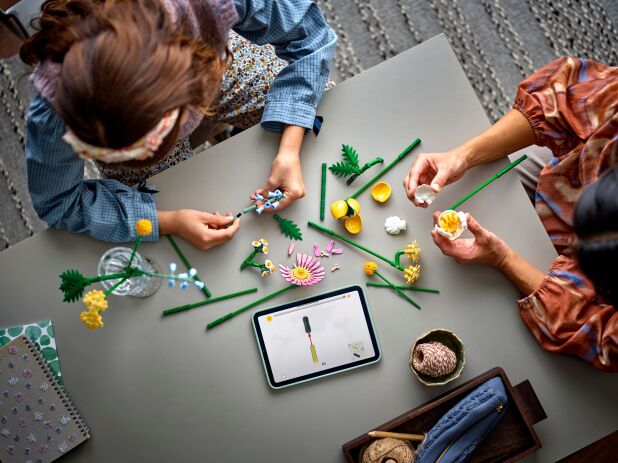 LEGO® Botanicals Petite Sunny Bouquet (10347) (4)