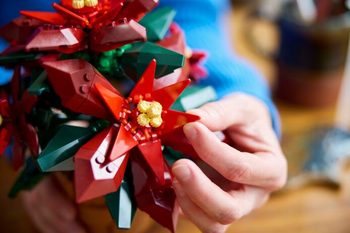 LEGO® Icons Botanicals Poinsettia (10370) (6)