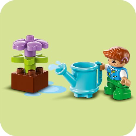 LEGO® Duplo Caring For Bees & Beehives (10419) (2)