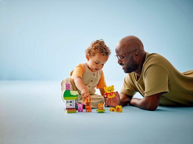 LEGO® Duplo Disney Winnie The Pooh's Birthday Party (10457) (6)