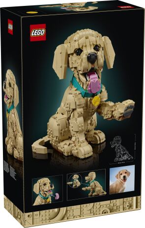 LEGO Icons Golden Retriever Puppy (11384) (16)