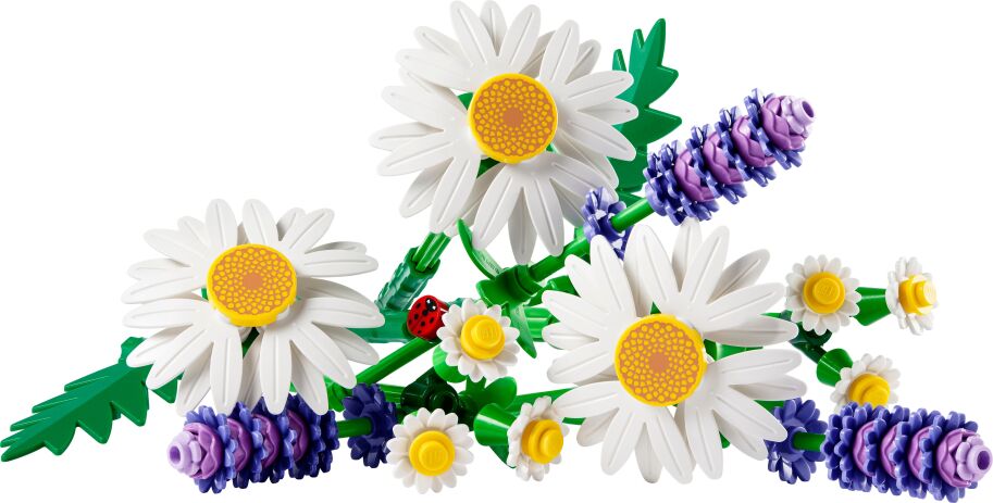 LEGO Botanicals Daisies (11508) (1)