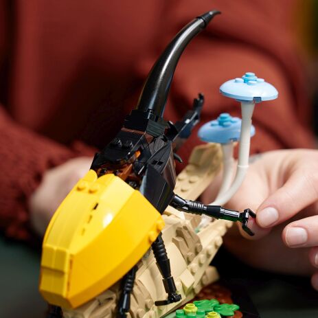 LEGO Ideas The Insect Collection (21342) (3)