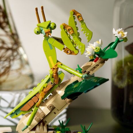 LEGO Ideas The Insect Collection (21342) (4)