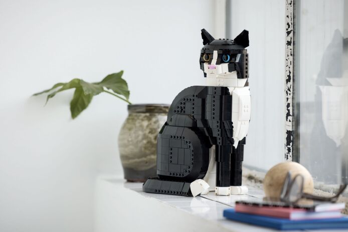LEGO Ideas Tuxedo Cat (21349) (10)