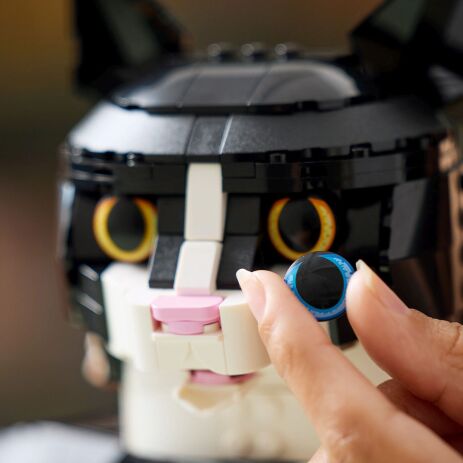 LEGO Ideas Tuxedo Cat (21349) (3)