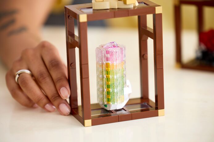 LEGO Ideas Mineral Collection (21362) (10)