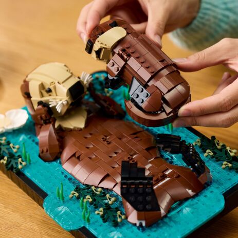 LEGO Ideas Floating Sea Otters (21366) (3)