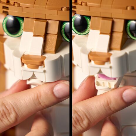 LEGO Ideas Orange Cat (21376) (4)