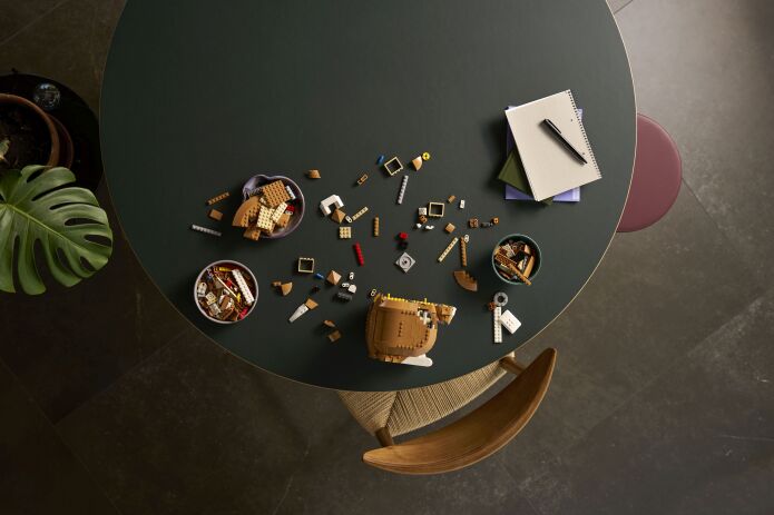 LEGO Ideas Orange Cat (21376) (5)