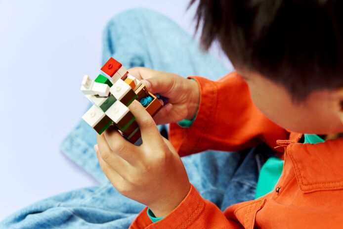 LEGO Minecraft Steve's Taiga Adventure (21583) (6)