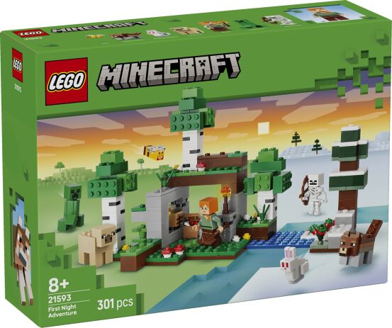 LEGO® Minecraft First Night Adventure (21593) (0)