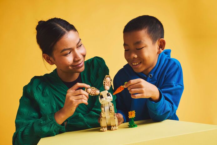 LEGO Creator 3in1 Cute Bunny (31162) (6)