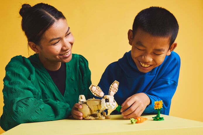 LEGO Creator 3in1 Cute Bunny (31162) (7)