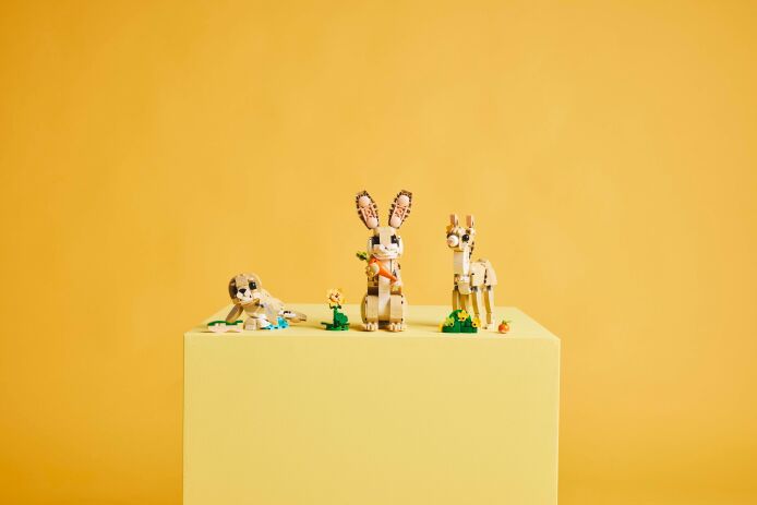 LEGO Creator 3in1 Cute Bunny (31162) (8)