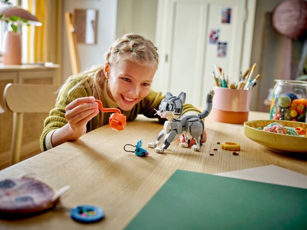 LEGO Creator 3in1 Playful Cat (31163) (6)