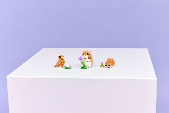 LEGO Creator 3in1 Cute Hamster With A Flower (31376) (9)