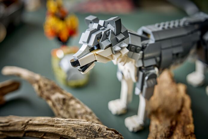 LEGO® Creator 3in1 Forest Animals: Gray Wolf (31393) (7)