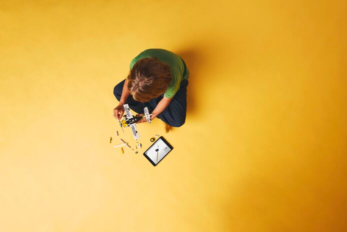 LEGO Technic Bush Plane (42198) (5)