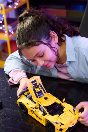 LEGO Technic Chevrolet Corvette Stingray (42205) (5)