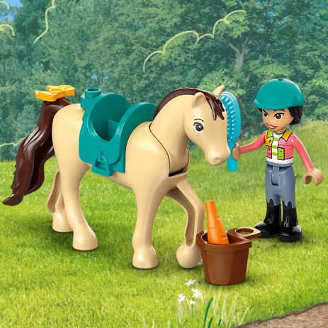 LEGO Friends Horse & Pony Trailer (42634) (3)