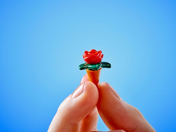 LEGO Friends Plant Cafe & Flower Shop (42671) (5)