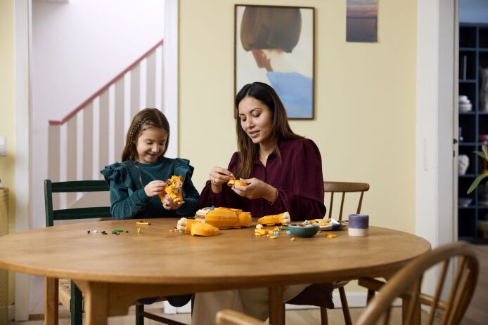 LEGO Disney Young Simba The Lion King (43247) (5)