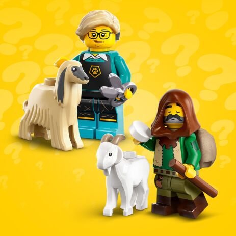 LEGO Minifigures Series 25 (71045) (3)