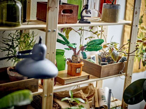 LEGO Harry Potter Mandrake (76433) (7)