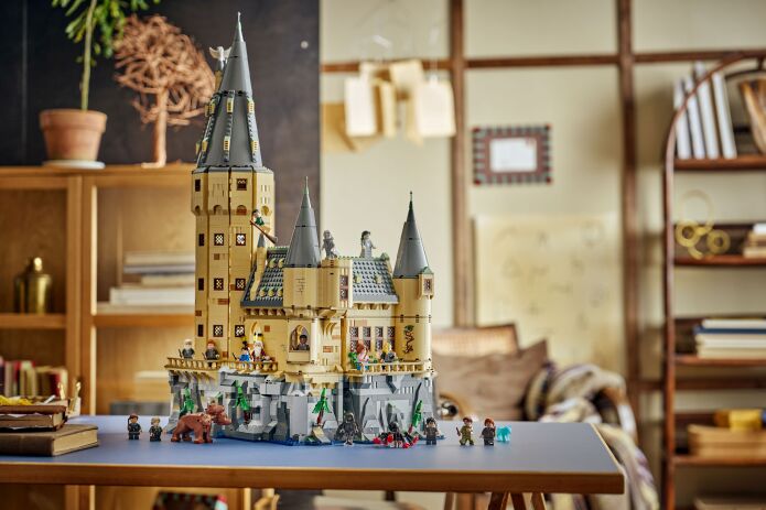 LEGO Harry Potter Hogwarts Castle: Hospital Wing (76463) (8)