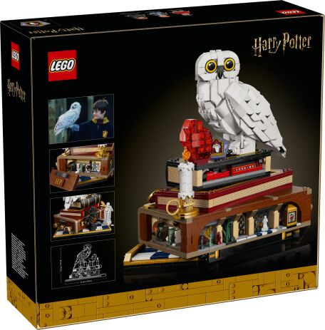LEGO Harry Potter Sorcerer's Stone-Collector's Edition (76466) (13)