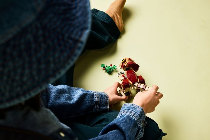 LEGO Jurassic World Baby Dinosaur Dolores: Aquilops (76970) (5)