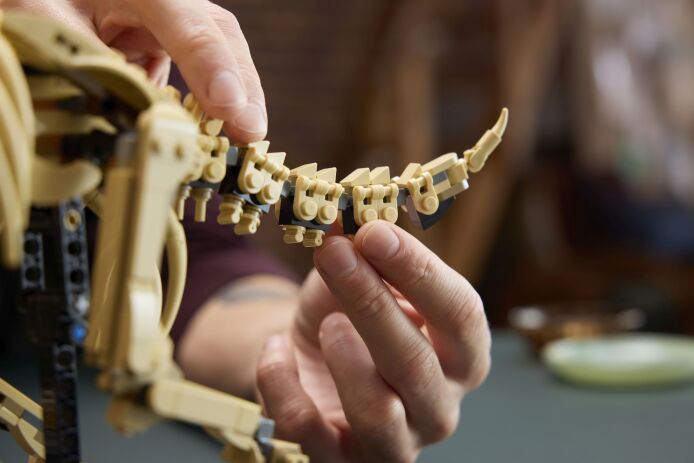 LEGO® Jurassic World Dinosaur Fossils: Triceratops (77985) (4)