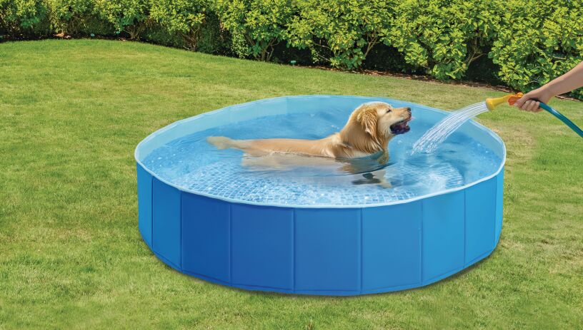 Intex Πισίνα-Pet Pool 1.52m x 30m (48400NP) (5)