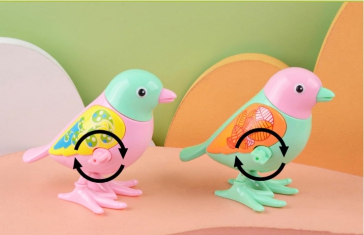 BW Wind Up Παπαγαλάκι-3 Σχέδια (A780-23) (2)