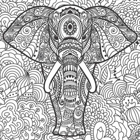 Βιβλίο Ζωγραφικής Antistress 1-Άγρια Ζωή (1953) (1)