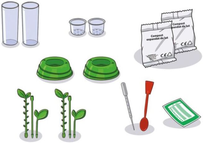 Μαθαίνω & Δημιουργώ Ο Κήπος Μου (1026-63408) (4)